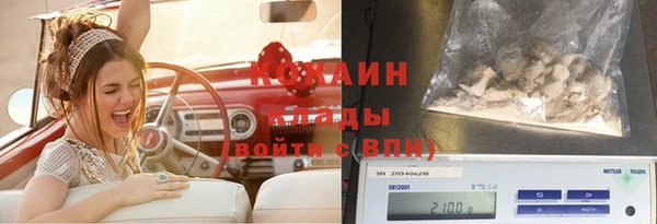 соль ск Алексин