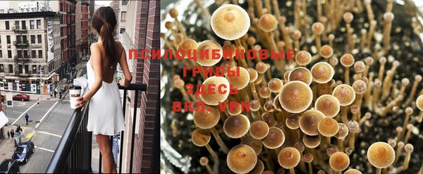 амфетамин Алзамай