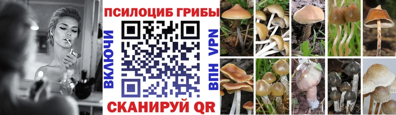 кракен   закладка  Пущино  Псилоцибиновые грибы Magic Shrooms 