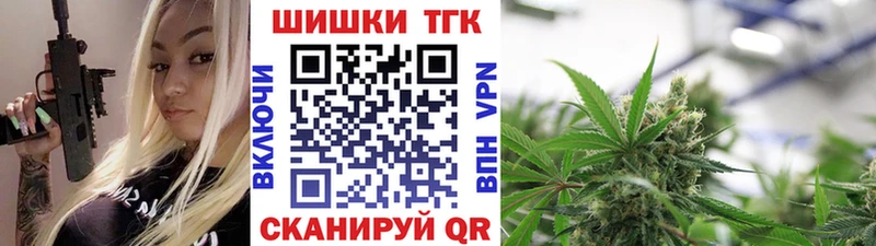 Каннабис конопля Пущино